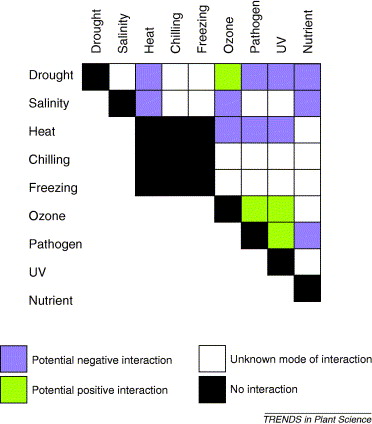 The stress matrix graph