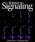 Science Signaling Cover