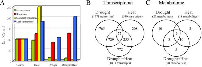 Bar and venn graphs