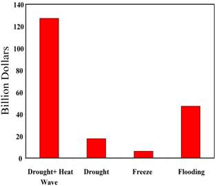 bar plot