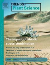 Trends journal cover